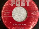 DOO WOP 45 HAWKS POST 2004 WHY OH WHY / THESE BLUES