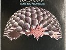 Ramp Come Into Knowledge Promo Vinyl Record Album LP Blue Thumb ABC NEAR MINT