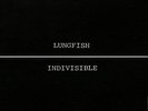 Lungfish - Indivisible (Blue Vinyl) | [Blue Vinyl LP] | Dischord
