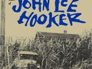 John Lee Hooker Country Blues