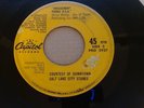 The Beach Boys - Salt Lake City - Amusement Parks USA 45 rpm Brian Wilson