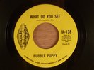 Bubble Puppy  What Do You See/Hurry Sundown   Psych 1969 International Artists