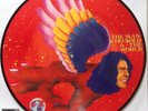 DAVID BOWIE - THE MAN WHO SOLD THE WORLD - VINYL PIC DISC - RSD LIMITED - 2016