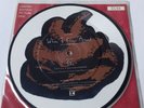 Green Day Vinyl 7
