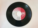 1964 45 RPM Promotion Copy - Eddie Wilson, Toast To The Lady/Just Call On Me