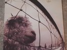 Pearl Jam Vs. 1993 LP Vinyl VG+ Original GFold Z 53156 Daughter Animal Dissident