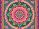 Grateful Dead 