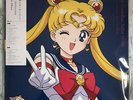 Pretty Guardian Sailor Moon The 30th Anniversary Memorial Album two  records