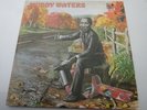 '76 Muddy Waters CHESS BLUES MASTERS SERIES Double Vinyl 33 Record Set Ex. Disc