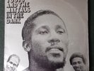 TOOTS AND THE MAYTALS IN THE DARK VINYL LP ORIG UK DRAGON 1974 EX RARE REGGAE