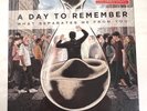 A Day To Remember What Separates Me From You TAN VINYL 2010 Ltd Ed