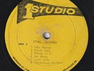 REGGAE ROOTS DUB LP STUDIO ONE LABEL DUB SPECIALIST 