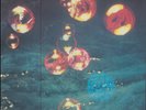 DEEP PURPLE Who Do We Think We Are FACTORY SEALED w)PROMO Drill Hole