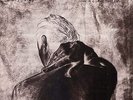Low Roar Once in a Long, Long While (Vinyl) (US IMPORT)