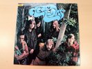 EX-/EX   Clear Light/Self Titled/1967 Elektra Stereo LP