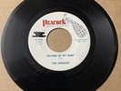 The Uniques 1960 DOOWOP 45 Picture Of My Baby / Mysterious PEACOCK DJ Mint- HEAR