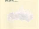Built to Spill - There's Nothing Wrong With Love [New Vinyl LP] Digital Download