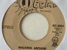 Garage Rock 45 Steve Ellis & Starfires Walking Around DECIMA 45 record