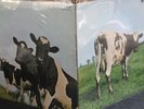 Pink Floyd- Atom Heart Mother-Quadraphonic Q4 SHVL 781. vinyl LP 1st press NM