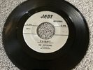 The Sentarians 45 Flight / Don’t Go JADT Records 1001 Grunge Garage Band RARE