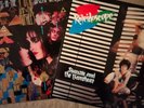 Siouxie and the Banshees Two Vinyl LPs from 1980's Plus Hong Kong Garden 7 inch.