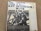Adam and the Ants - Observations from a Hill -  - Vinyl - LP