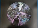 A Day To Remember Homesick 2015 Picture Disk Vinyl Record /3000 Near Mint