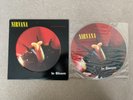 Nirvana In Bloom 12