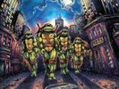 Teenage Mutant Ninja Turtles (Vinyl) 12