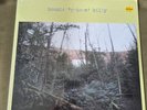 bonnie prince billy self titled vinyl. SEALED. RARE