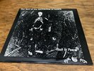Battalion Of Saints, The best of, Rock in peace, 12” vinyl, mystic, 1987, punk