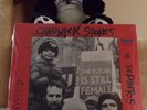 CHADWICK STOKES CHADWICK STOKES & THE PINTOS WITH ALBUM JACKET PROTECTOR