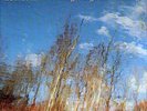 Lungfish Talking Songs for Walking (Vinyl) 12