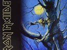 Iron Maiden Fear of the Dark (Vinyl) (US IMPORT)