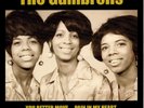 THE GAMBRELLS You Better Move - New Northern Soul 45 (Big Man) 7