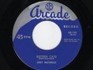 '58 Rockabilly JOEY MICHEALS Sixteen Cats/Too Blue To Cry ARCADE 150 M- HEAR