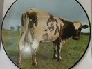 Pink Floyd  # Atom heart mother #  VINILE LP PICTURE DISC