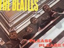 the beatles please please me vinyl mono