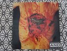 DISMEMBER Indecent And Obscene LP 1993 ORIGINAL INSERT DEATH METAL