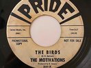 Surf Instro 45 THE MOTIVATIONS Motivate/The Birds Pride HEAR Rare