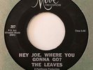 Garage 45 THE LEAVES Hey Joe, Where You Gonna Go?/Be With You Mira Orig. Rare