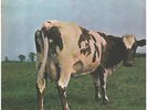 Pink Floyd Atom Heart Mother Harvest Vinyl LP