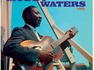 MUDDY WATERS At Newport 1960 (Limited Transparent Purple vinyl)