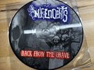 The Independents Picture Disk Back From The Grave Vinyl Record Punk