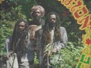 STRENGTH OF MY LIFE ISRAEL VIBRATION / LP