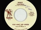 Funk 45 - Buddy Cantrell - You Ain't No Good - Tuska - mp3 - rare