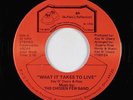 Modern Soul 45 - Chosen Few Band - What It Takes To Live - BR - VG++ mp3