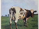 PINK FLOYD ATOM HEART MOTHER HARVEST OP80102 JAPAN RED VINYL VINYL LP