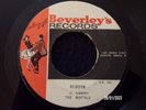 THE MAYTALS  -  REBORN  (REGGAE)  45