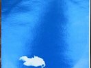 NM Vinyl - French Press - The Plastic Ono Band - Live Peace in Toronto 1969